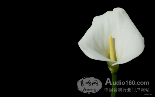 未来 Sennheiser的前世与今生j9九游真人游戏第一平台引领世界音频(图3)